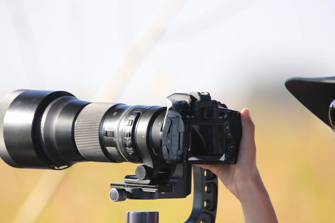 Wildlife photography in Botswana