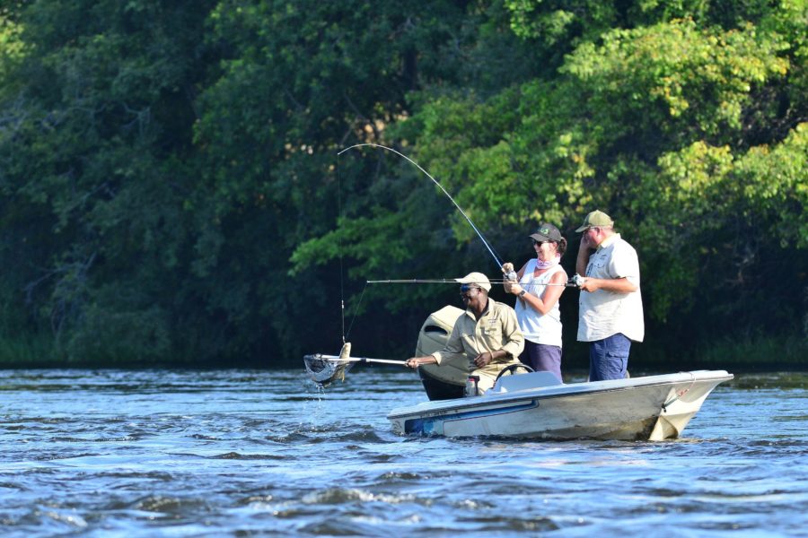Guided fishing experience