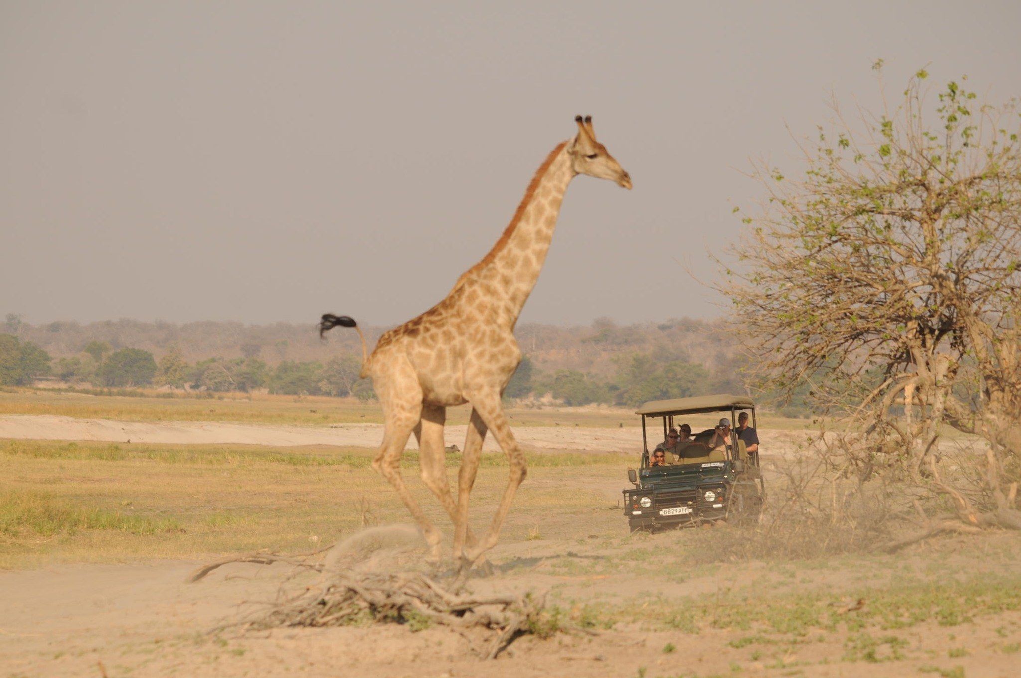 GAME DRIVES