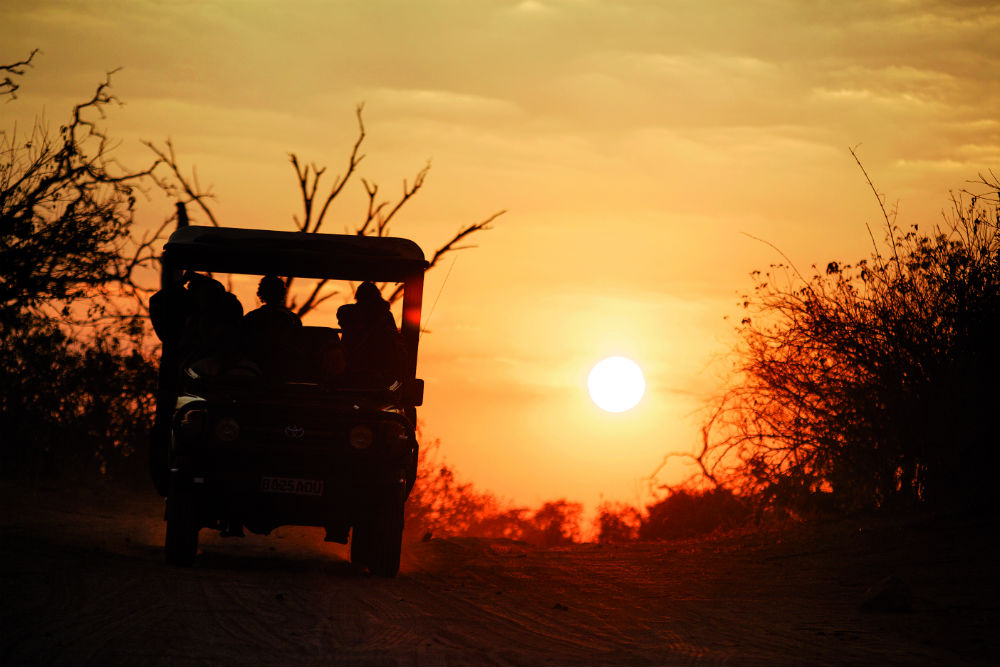 Safari vehicle at sunset