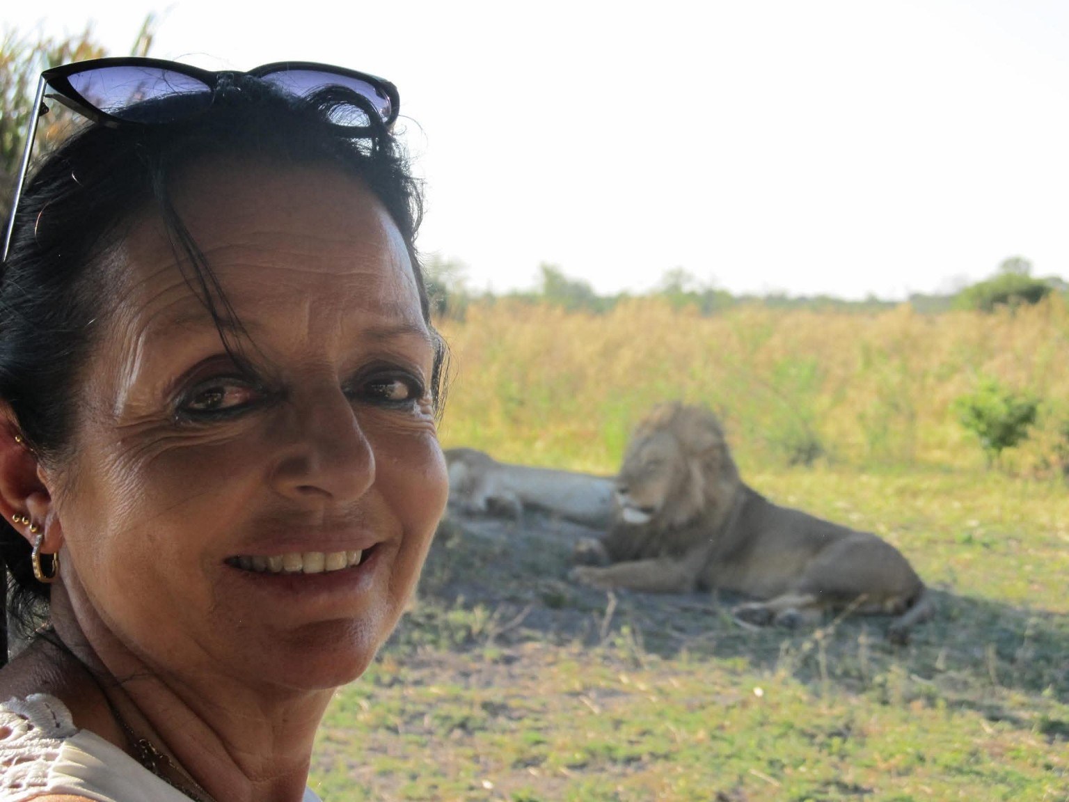 Lion photographed during a Botswana safari
